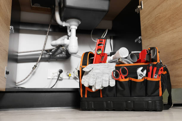Best Residential Plumbing Services  in Hanamaulu, HI