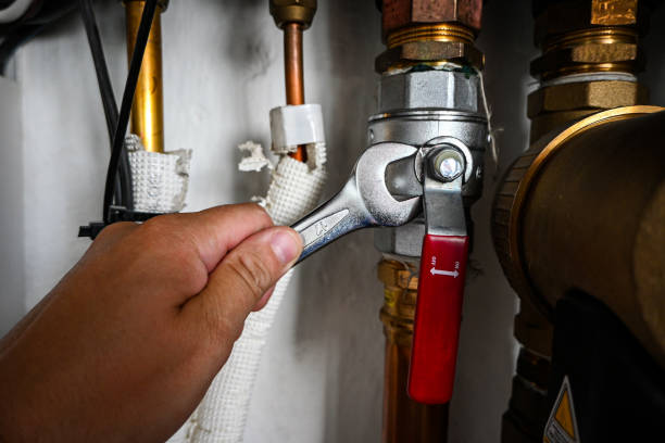 Best Sewer Cleaning Services  in Hanamaulu, HI